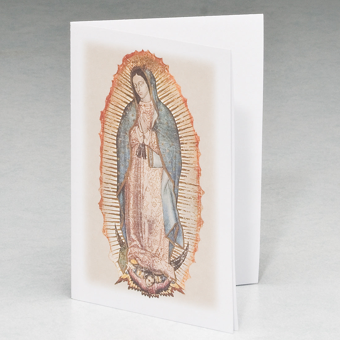 Lady of Guadalupe Series