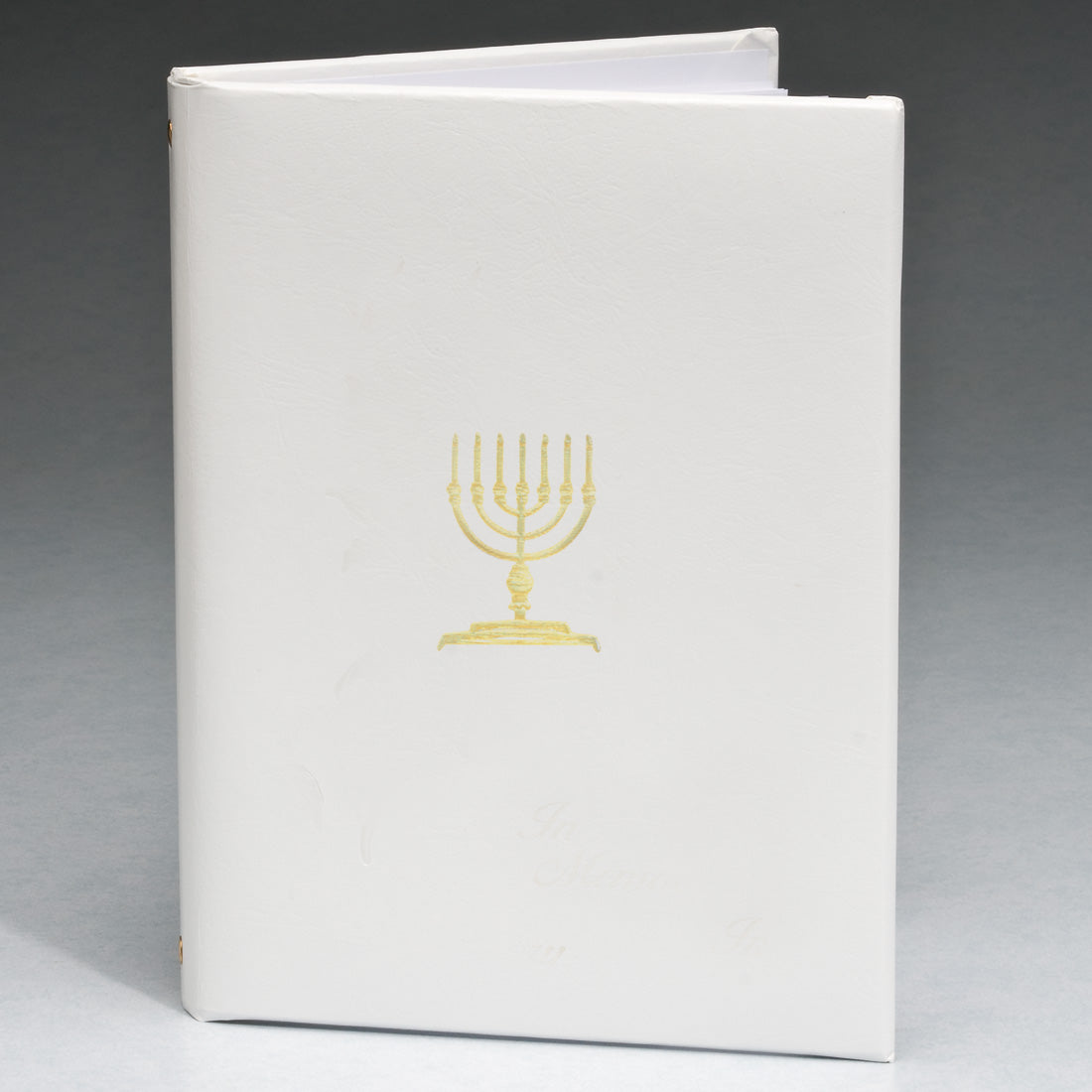 Jewish Menorah Series