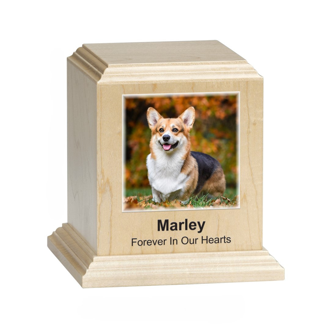 Premier Texture Pet Photo Urns