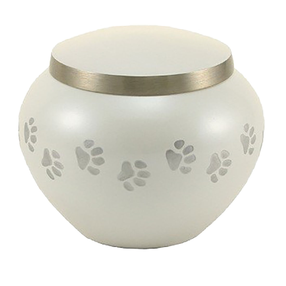 Paw Print Odyssey Series