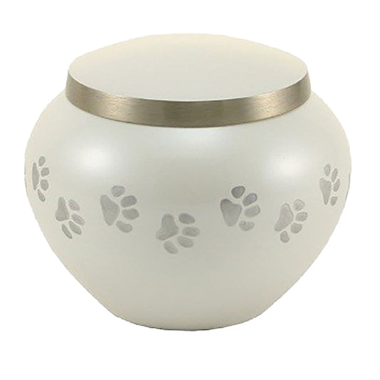 Paw Print Odyssey Series