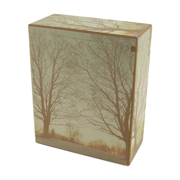 Winters Morning Scattering Box